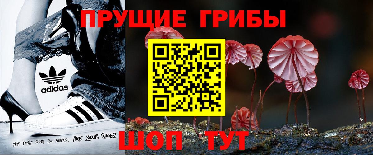 Галлюциногенные грибы GOLDEN TEACHER  Вход с VPN  купить закладку  Гурьевск 