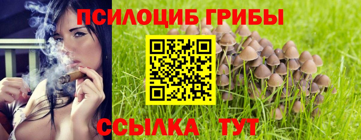 Псилоцибиновые грибы мухоморы Гурьевск
